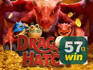 57WIN BET PIX instantâneo Brasil - Depósito e saque em minutos 24/7